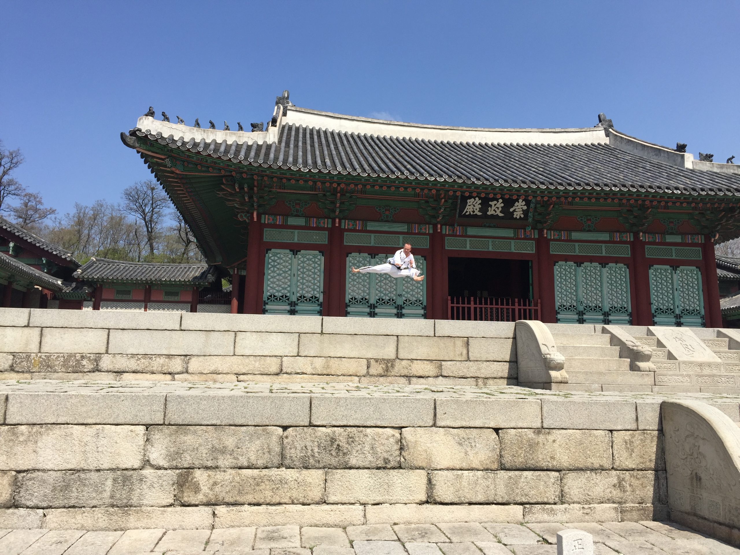 Taekwon-Do ITF Traditionnel